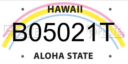 B05021T Hawaii License Plate
