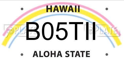 B05TII Hawaii License Plate