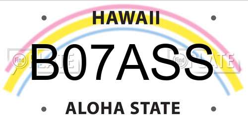 B07ASS Hawaii License Plate