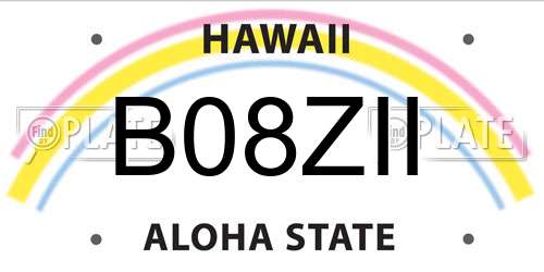 B08ZII Hawaii License Plate
