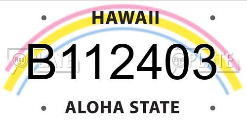 B112403 Hawaii License Plate