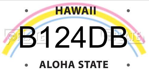 B124DB Hawaii License Plate