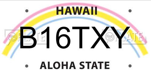B16TXY Hawaii License Plate