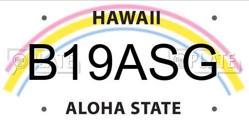 B19ASG Hawaii License Plate