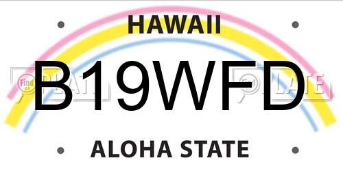 B19WFD Hawaii License Plate