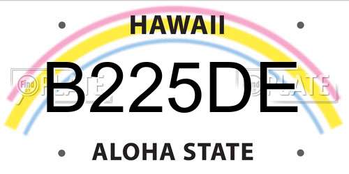 B225DE Hawaii License Plate