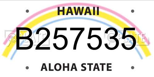 B257535 Hawaii License Plate