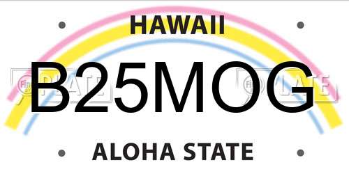 B25MOG Hawaii License Plate