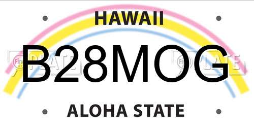 B28MOG Hawaii License Plate