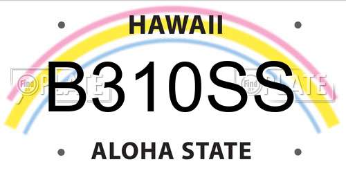 B310SS Hawaii License Plate