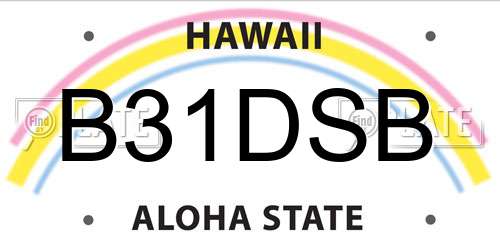 B31DSB Hawaii License Plate
