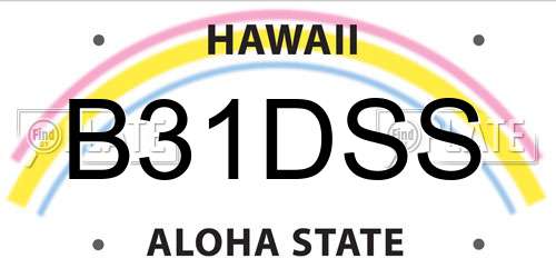 B31DSS Hawaii License Plate