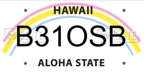 B31OSB Hawaii License Plate