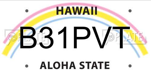 B31PVT Hawaii License Plate