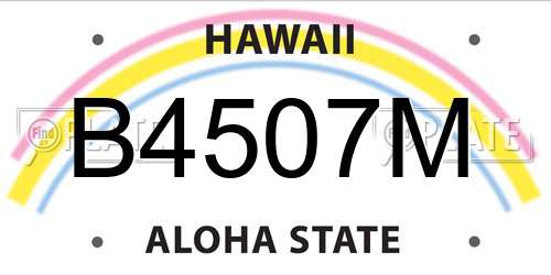 B4507M Hawaii License Plate