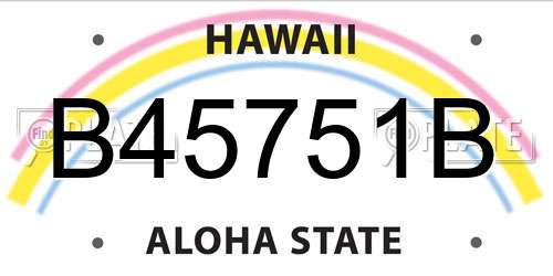 B45751B Hawaii License Plate
