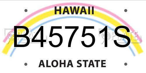 B45751S Hawaii License Plate