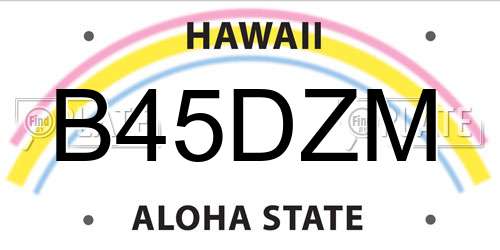B45DZM Hawaii License Plate