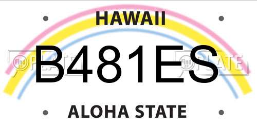 B481ES Hawaii License Plate