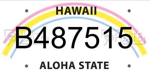 B487515 Hawaii License Plate