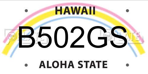 B502GS Hawaii License Plate