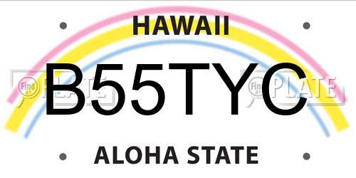B55TYC Hawaii License Plate
