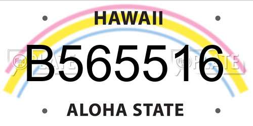 B565516 Hawaii License Plate