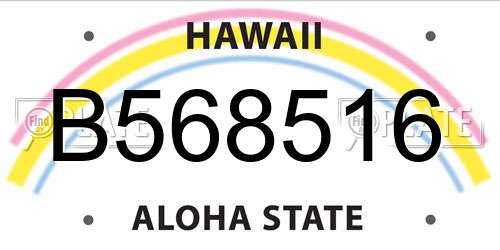 B568516 Hawaii License Plate