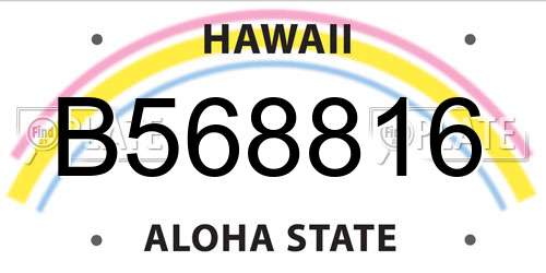 B568816 Hawaii License Plate