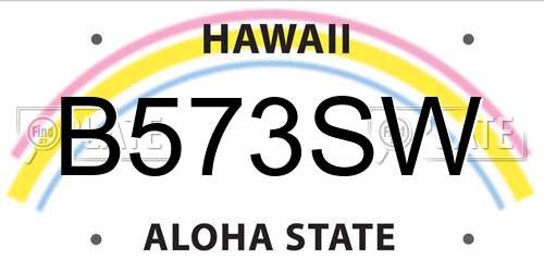 B573SW Hawaii License Plate