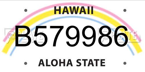 B579986 Hawaii License Plate