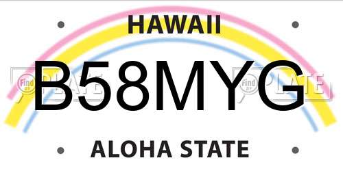 B58MYG Hawaii License Plate