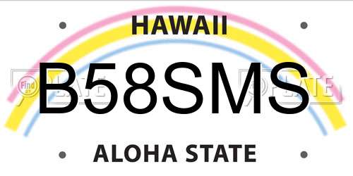 B58SMS Hawaii License Plate