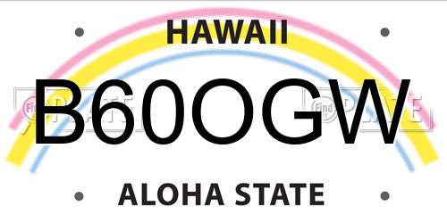 B60OGW Hawaii License Plate