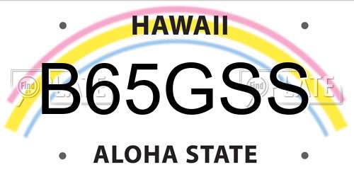 B65GSS Hawaii License Plate