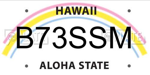 B73SSM Hawaii License Plate
