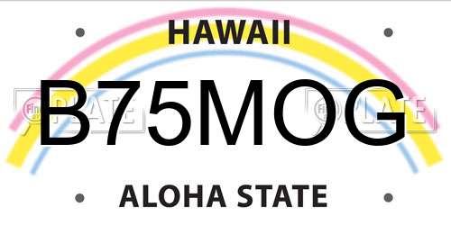 B75MOG Hawaii License Plate