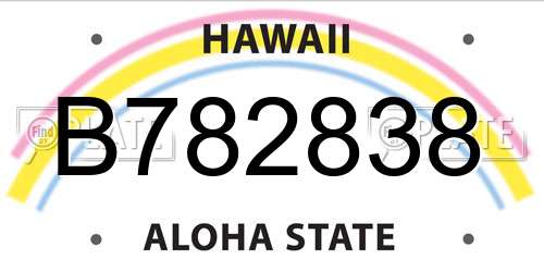 B782838 Hawaii License Plate