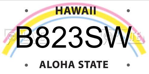 B823SW Hawaii License Plate