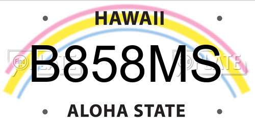B858MS Hawaii License Plate
