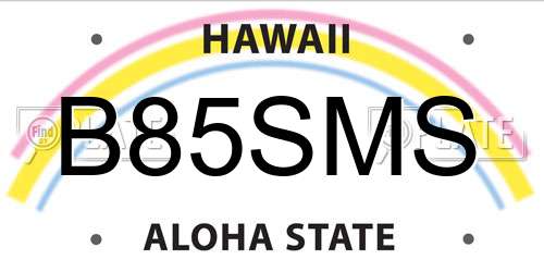 B85SMS Hawaii License Plate