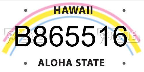B865516 Hawaii License Plate