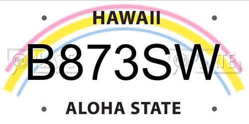 B873SW Hawaii License Plate