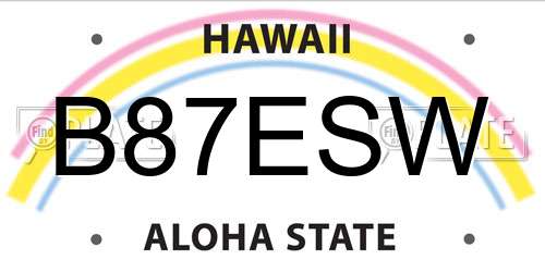 B87ESW Hawaii License Plate