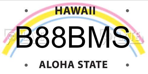 B88BMS Hawaii License Plate