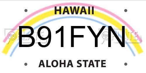 B91FYN Hawaii License Plate