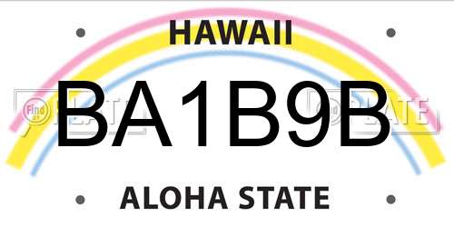 BA1B9B Hawaii License Plate