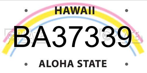 BA37339 Hawaii License Plate