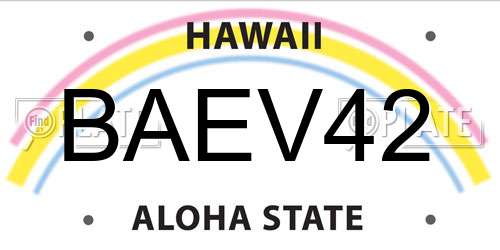 BAEV42 Hawaii License Plate