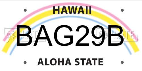 BAG29B Hawaii License Plate